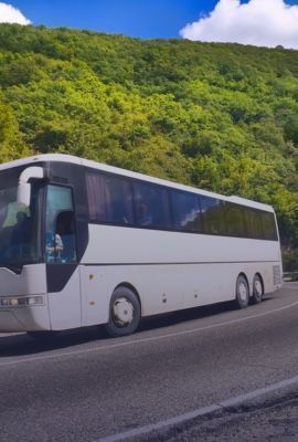 BUS